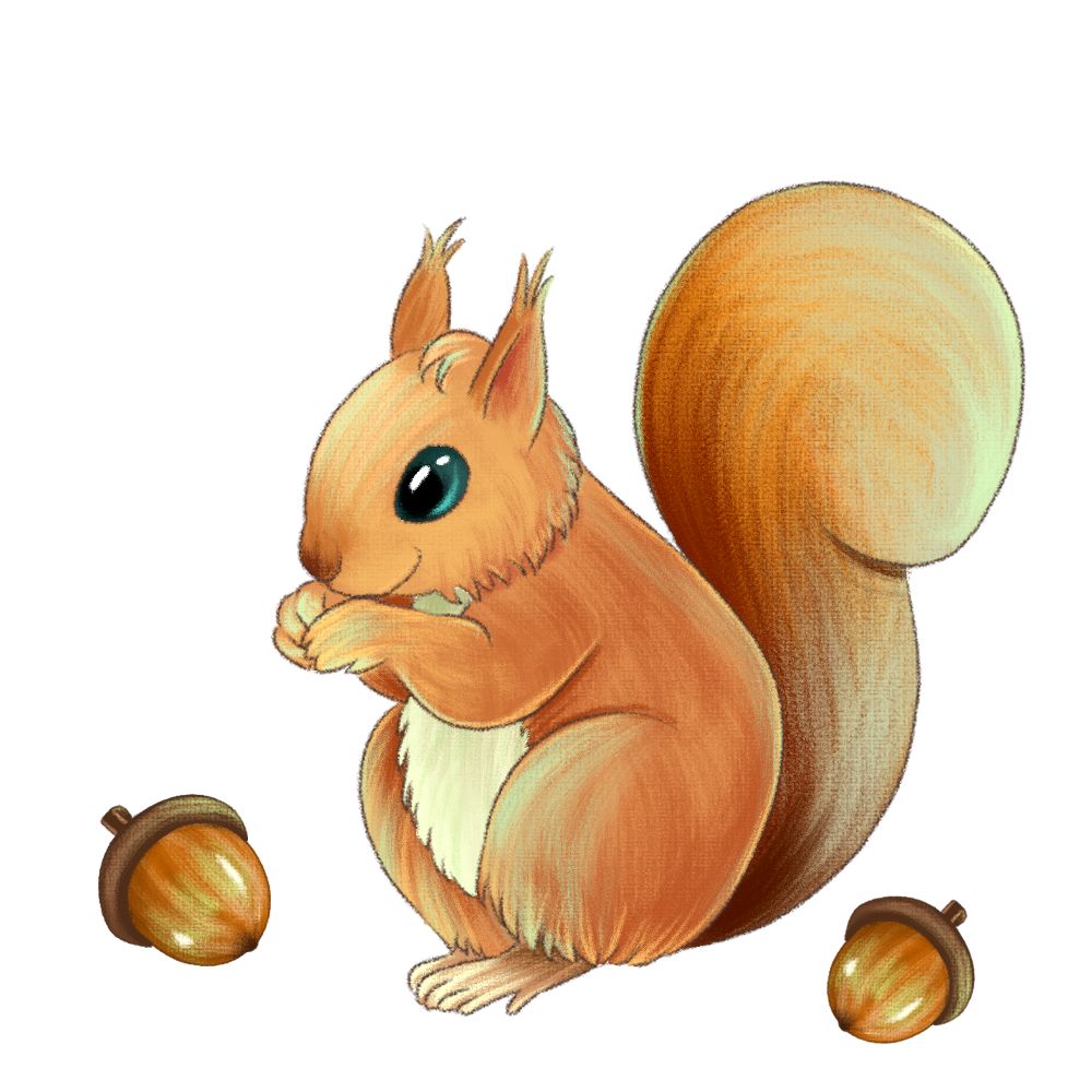 听着儿歌,跟小松鼠一起来跳舞吧_金波