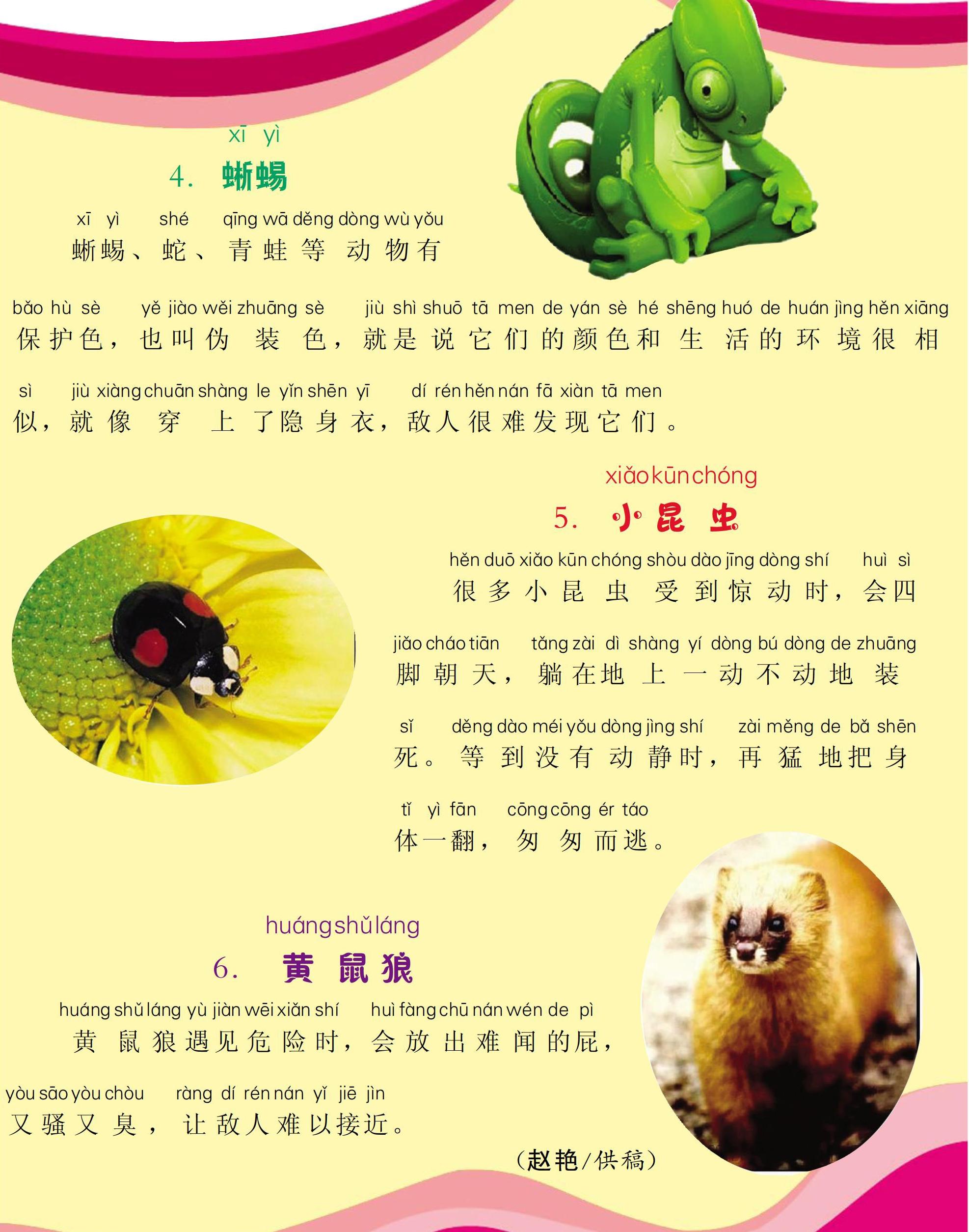 动物的自我保护术