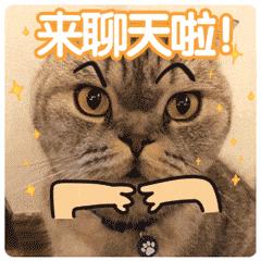 聊天开场白表情包不知如何开场先主动说句话