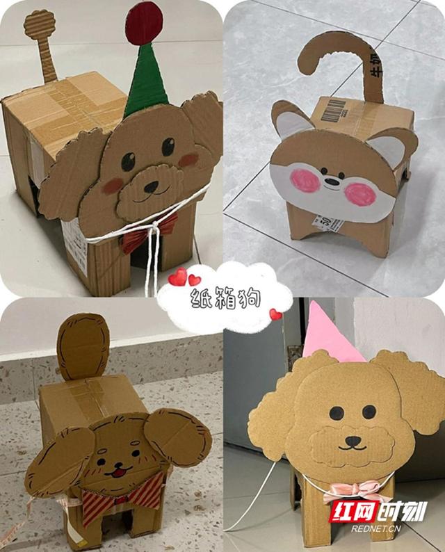 花式养"宠物" 纸箱"宠物"走红怀师校园