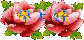 早上好,一首《你开心我快乐》送给你,愿你开开心心每一天!