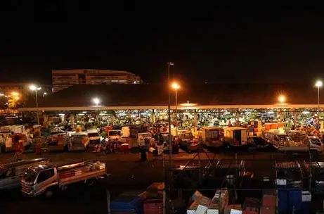 凌晨参观鱼批发市场_渔港_顾客_巴士