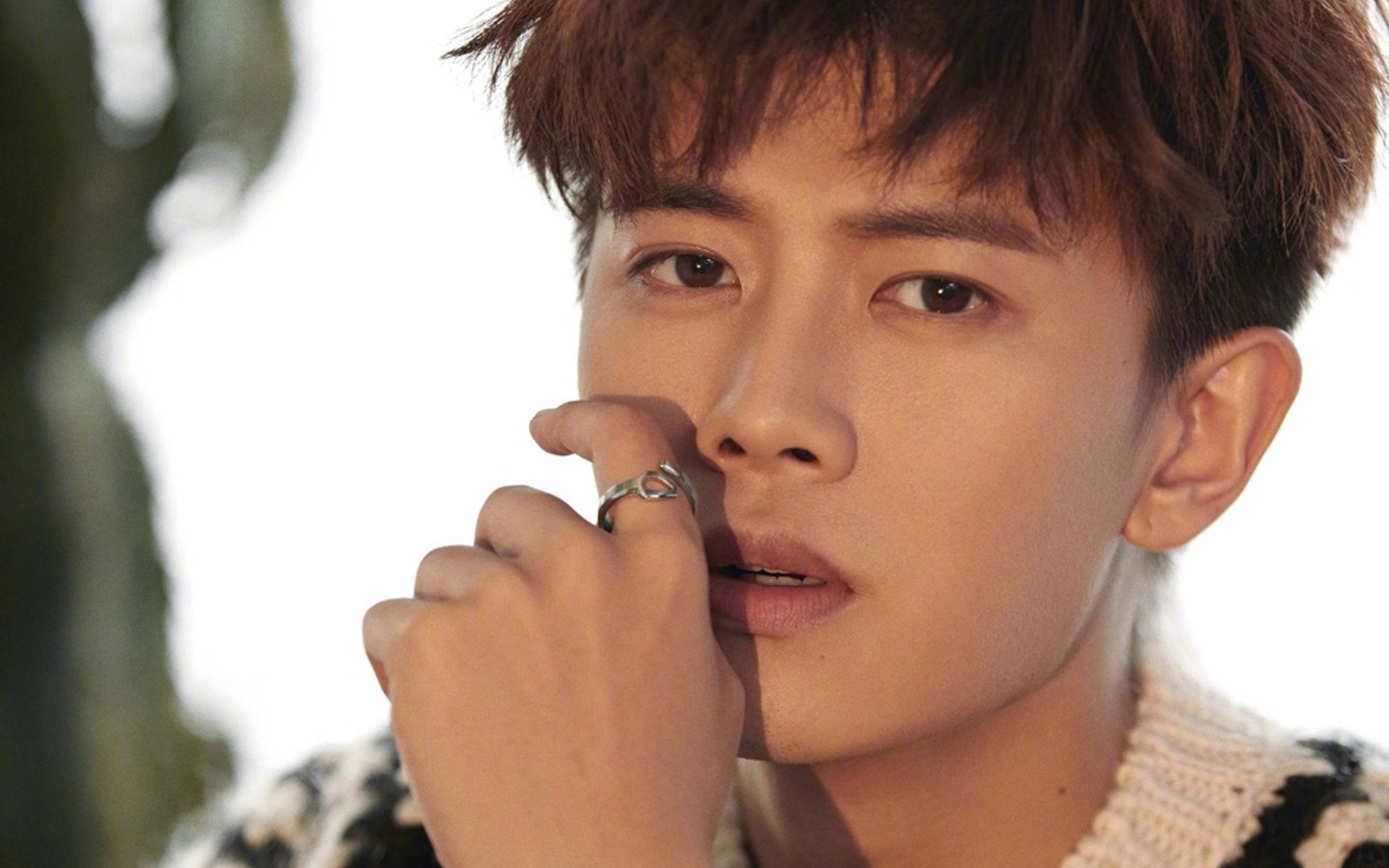 任嘉伦魅力写真图片桌面壁纸