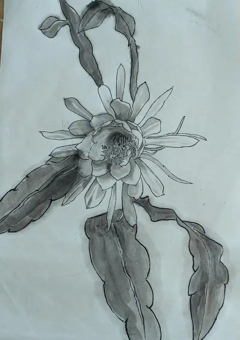 小玉斋画昙花#原创作品 #昙花  - 抖音