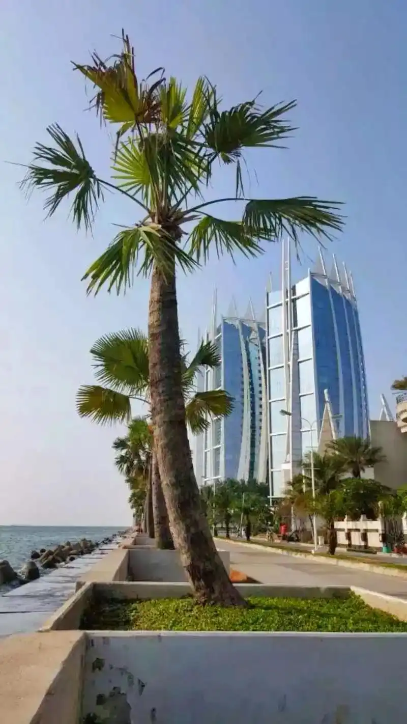 足迹一一印尼是世界上第四大人口囯家,在雅加达塞车是很普遍的, - 抖