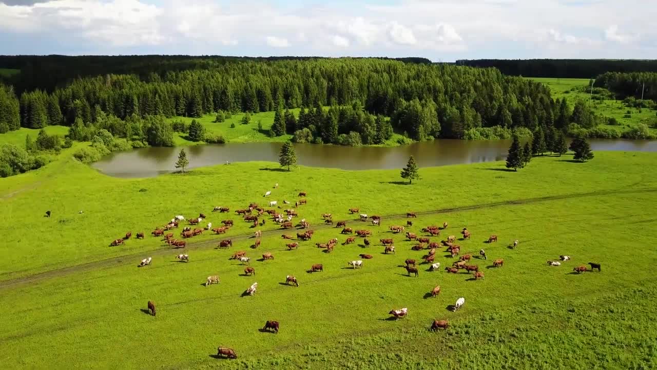 一首优美的《林子祥-谁能明白我》,经典不老只听一遍就喜欢