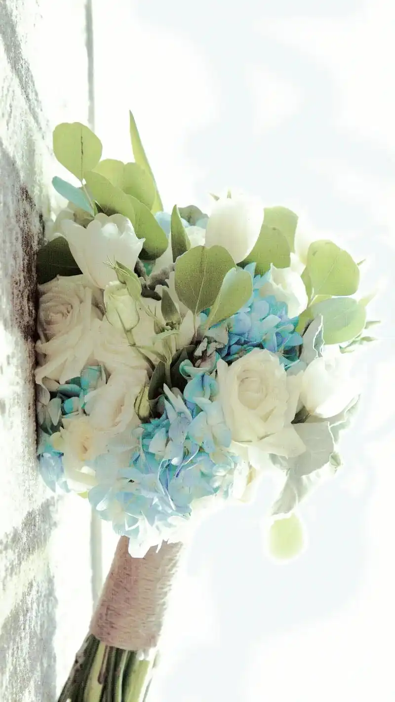 借晚风把温柔和浪漫的鲜花赠予于你.#一束花的仪式感 #壁纸  - 抖音