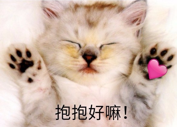 萌宠gif喵星人gif求抱抱gif抱抱我好嘛gif呆萌gif可爱gif