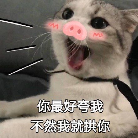 可爱不是长久之计,可爱我才是长久之计 - 一组甜甜的熊猫头表情包_撩