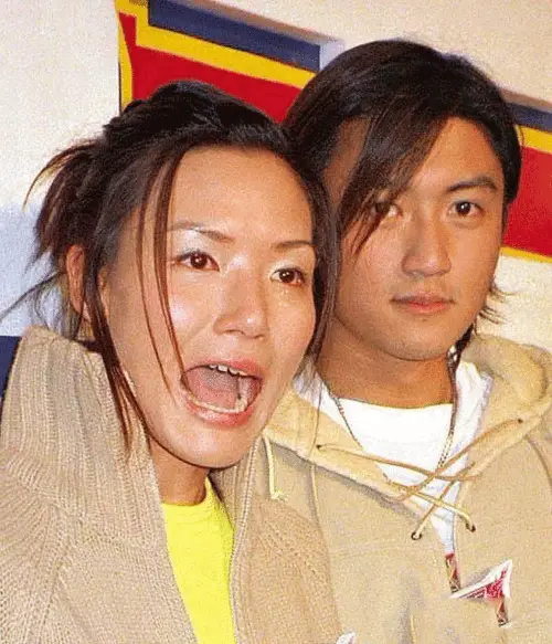 坊间传闻谢霆锋趁着陈慧玲刚和男友分手的间隙趁虚而入,对陈慧琳发起