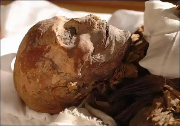 经典人文地理木乃伊 世界上最神秘的六具木乃伊(6)