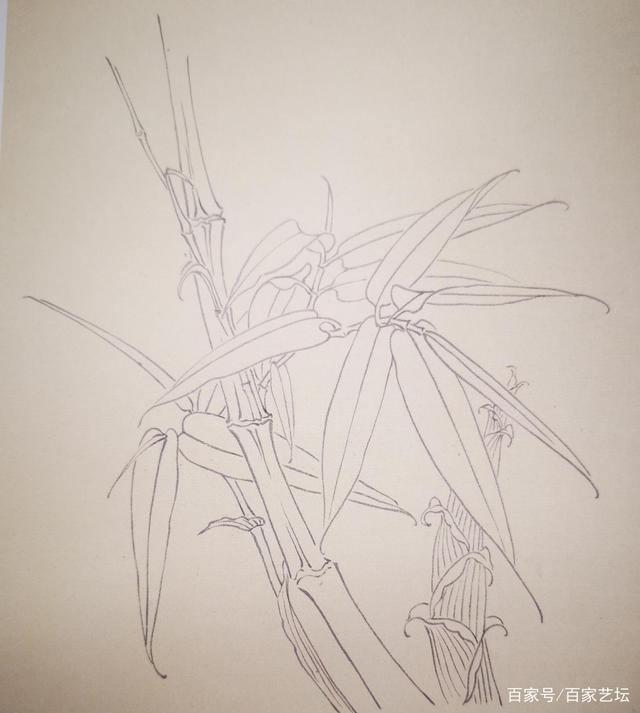 白描画竹技法教程