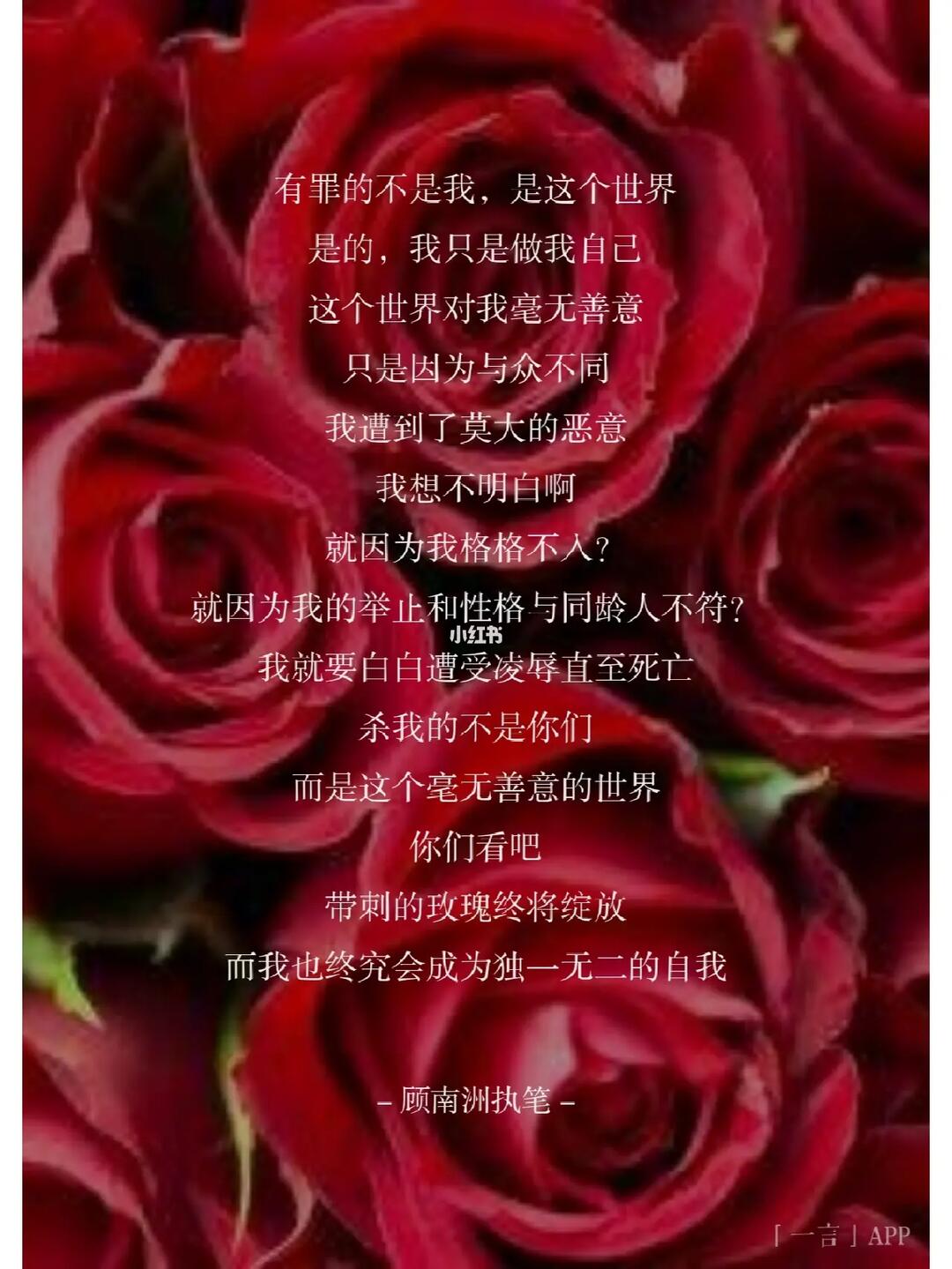 原创玫瑰终将绽放我将成为独一无二的我