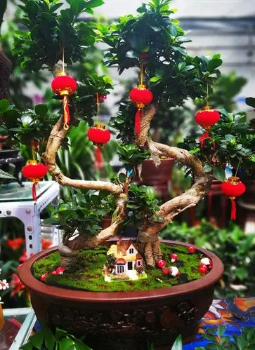 大红灯笼高高挂