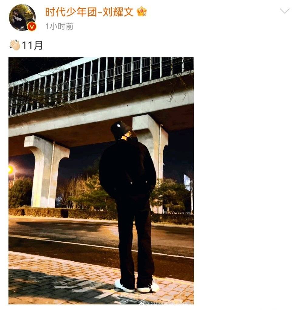 刘耀文晒夜色背影照路灯下的刘耀文背影好帅身材比例好绝