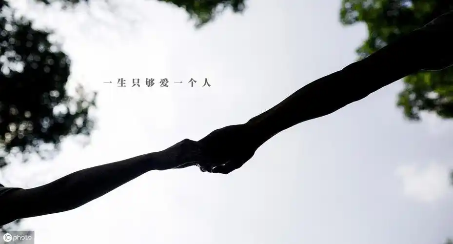 一生只够爱一个人车,马,邮件都慢从前的日色变得慢心仪那句:一直很