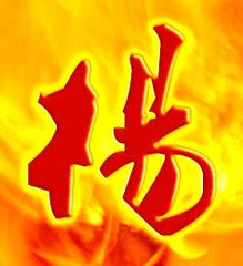 我姓杨图片文字照片_微信头像图片大全