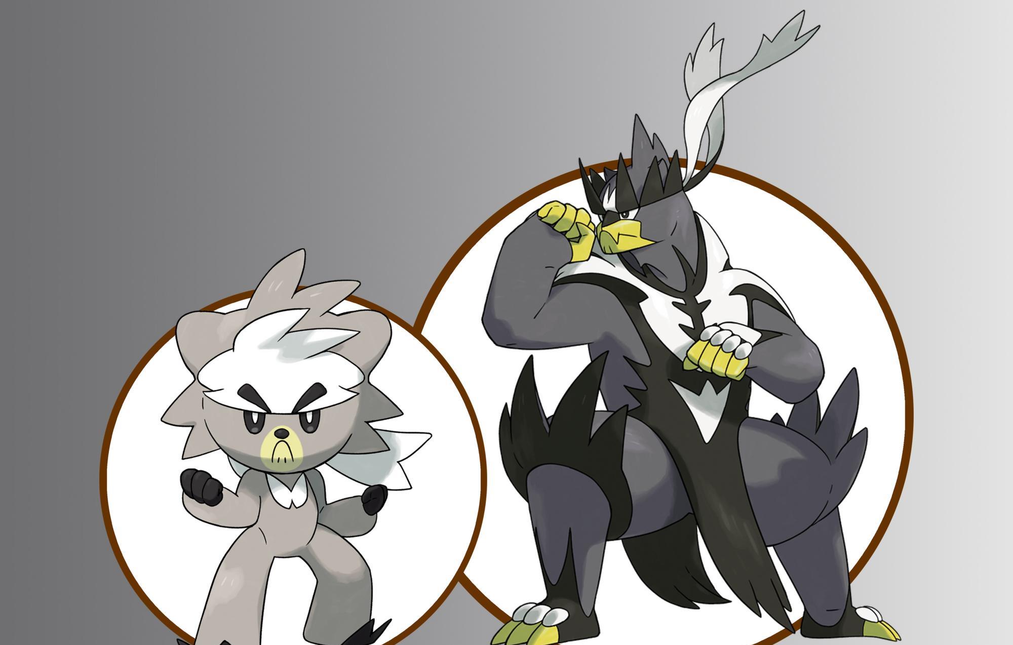 熊徒弟的属性是格斗系,主要栖息在远离伽勒尔地区的深山中,它非常热衷