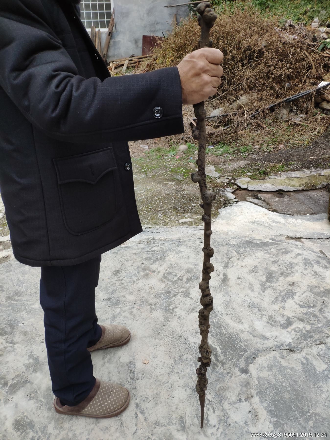 民国天然老树瘤拐杖拐棍