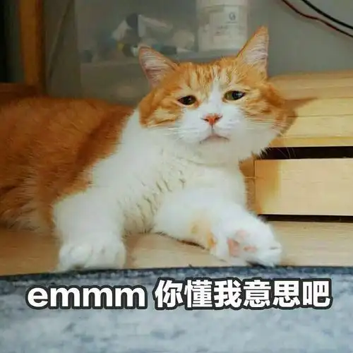 猪猪哭泣gif动图表情包