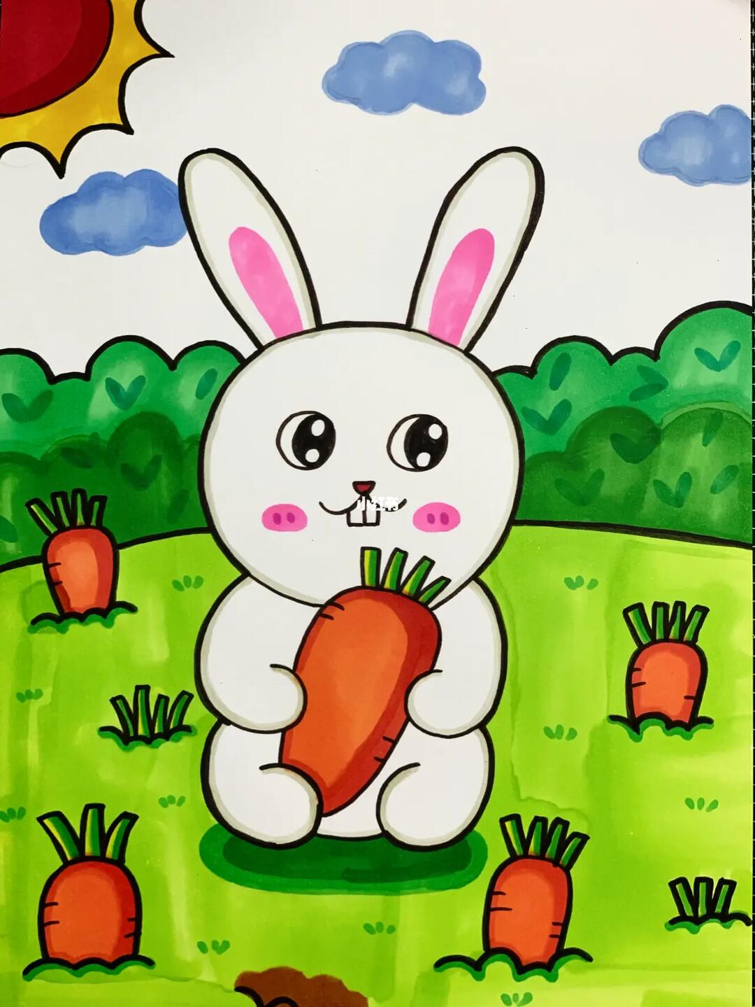 小动物系列合集