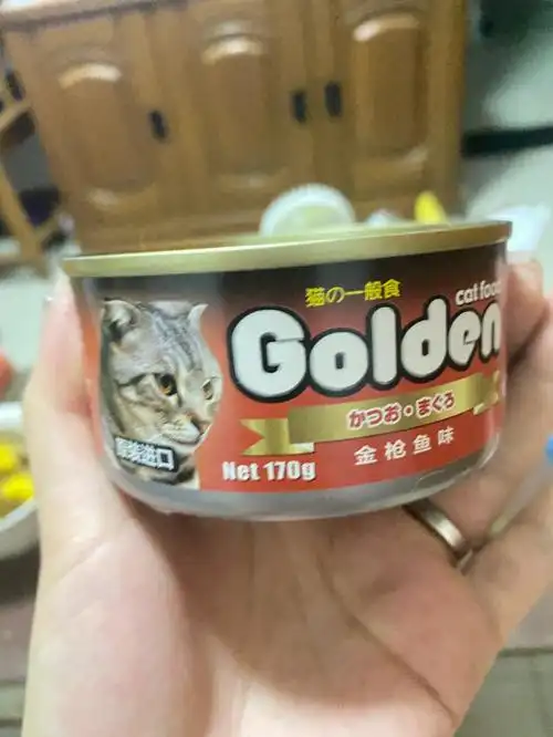 猫罐头推荐1