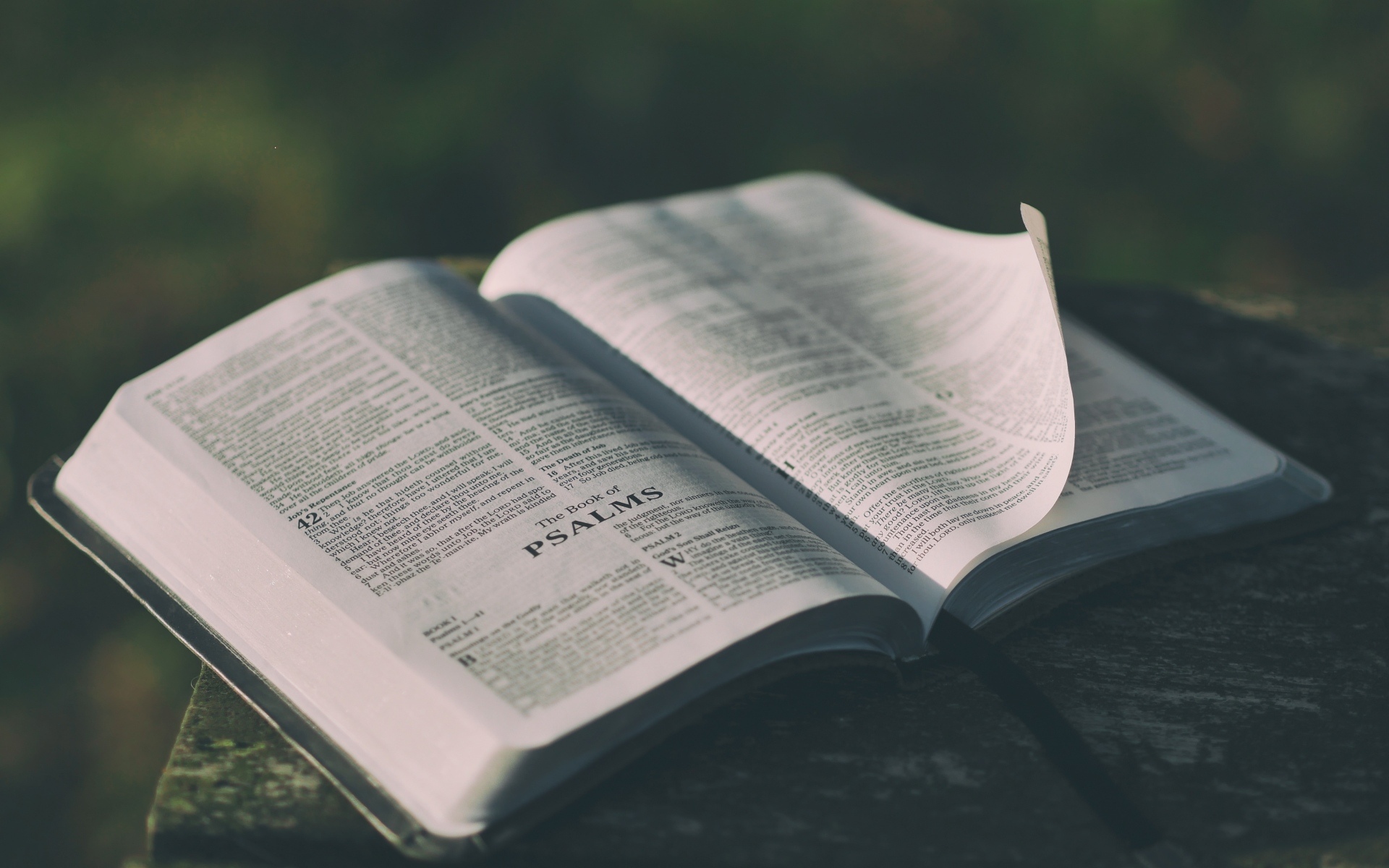 清新唯美的书本静物