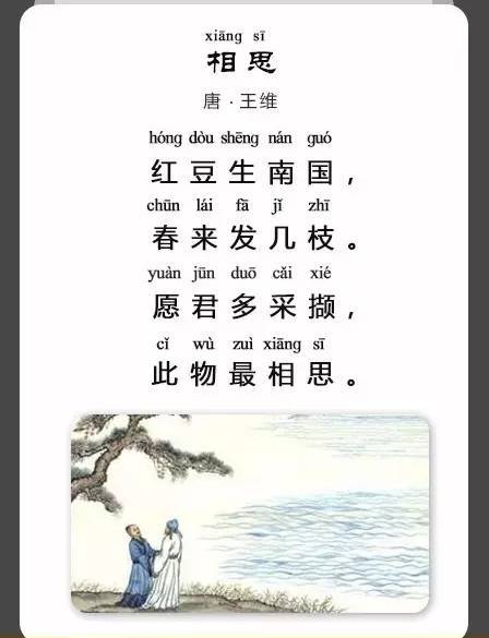 跟着诗词去旅游:你不知道的相思红豆 | 《相思》