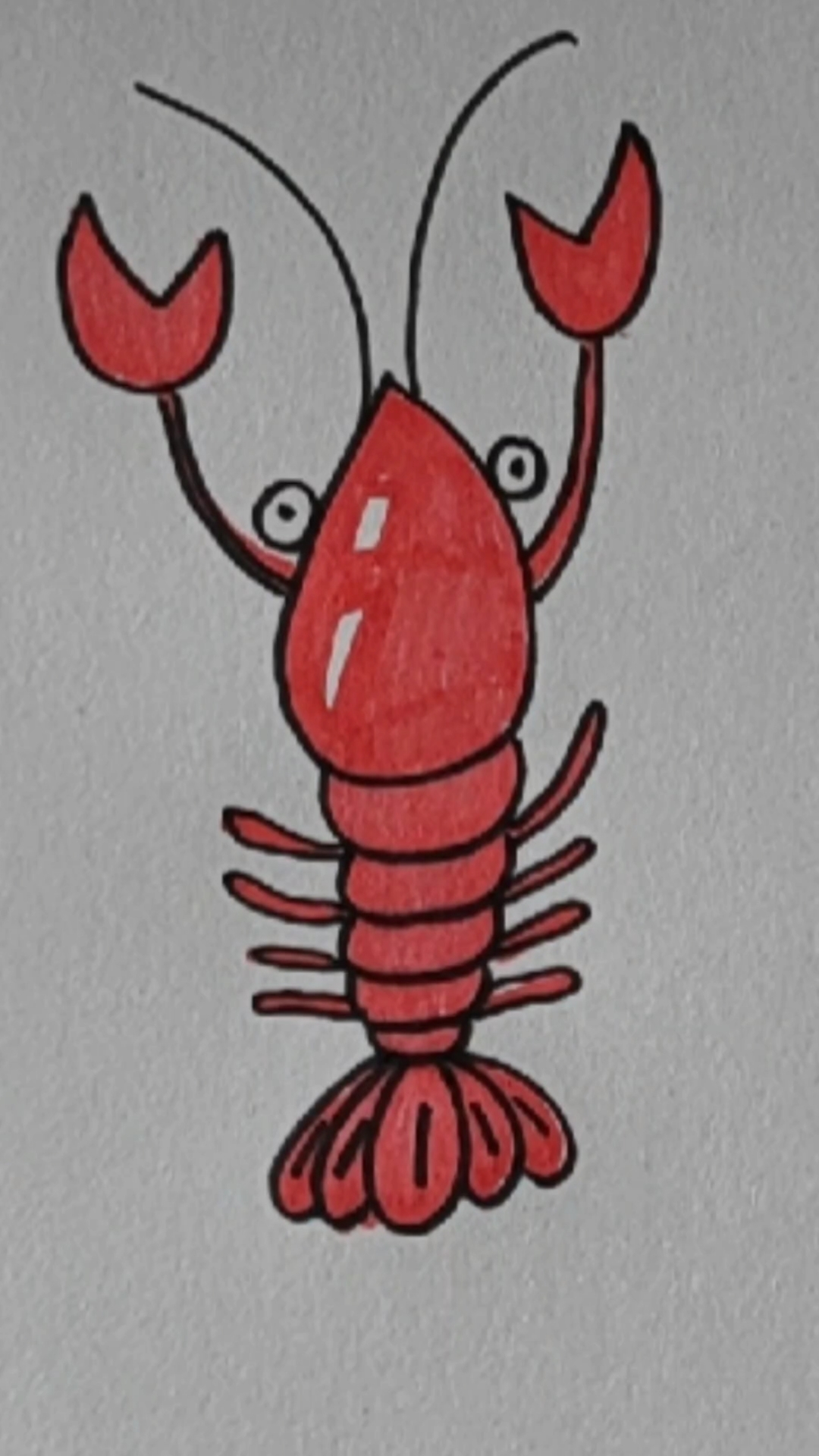 画画原来如此简单#超简单龙虾画法