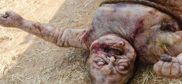 原创行尸走肉五大恶心的场景哪一个最让你想呕吐