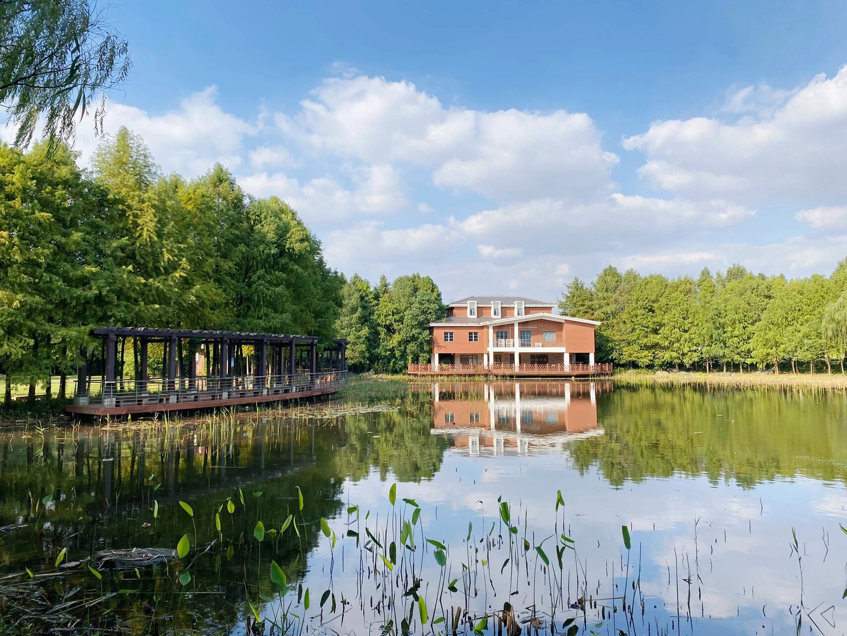 上海宝山顾村公园游玩指南 🌆地点:宝山区顾村镇沪太路4788号 🎫