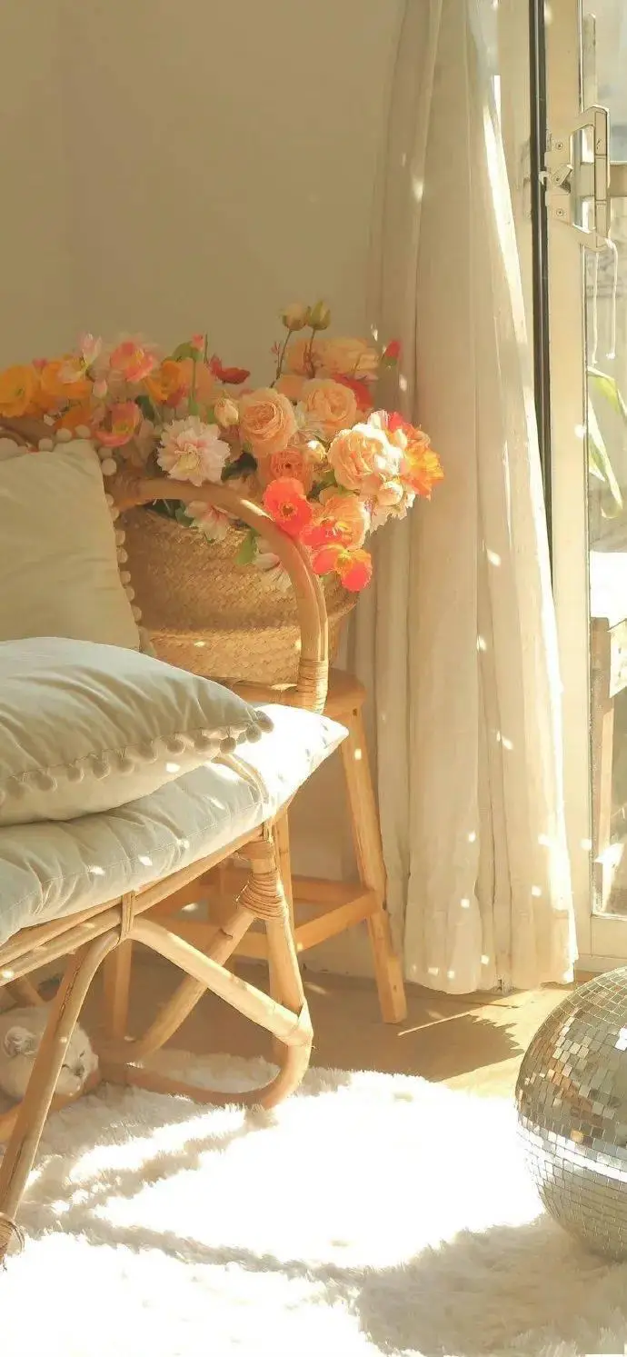 壁纸私藏小众高级感ins风壁纸