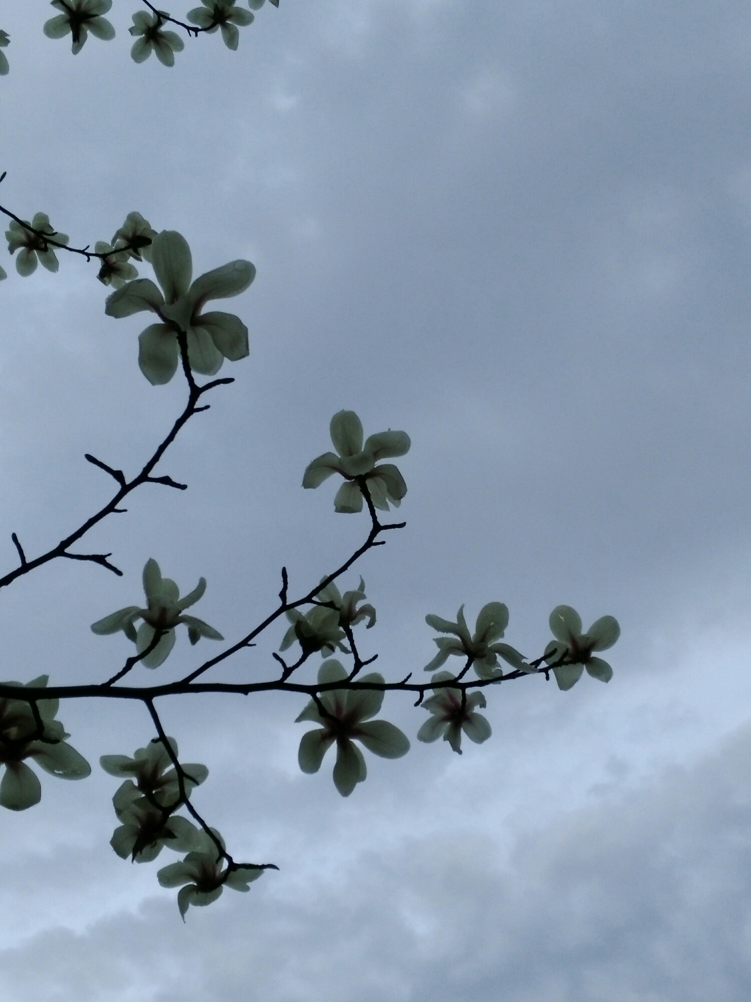 阴天-堆糖,美好生活研究所