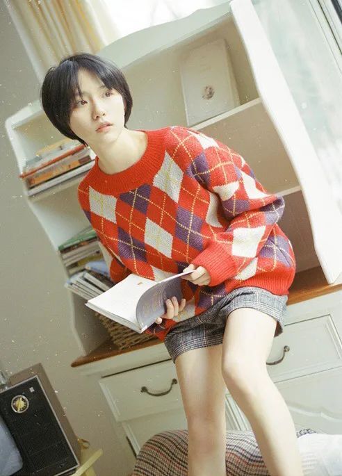 审美集诸葛大力成果写真集