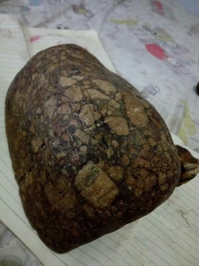 这是河边捡的,象月球陨石角砾岩石,请问是陨石吗