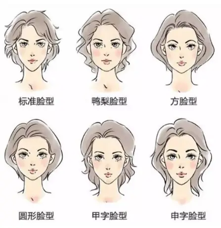 好学星绘:五分钟学会「原画人物脸型怎么画」,让你的绘画作品更加出众