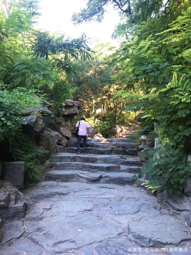 北京东单公园遇读书狂,有人知道后要送书给他,他的身份你想不到