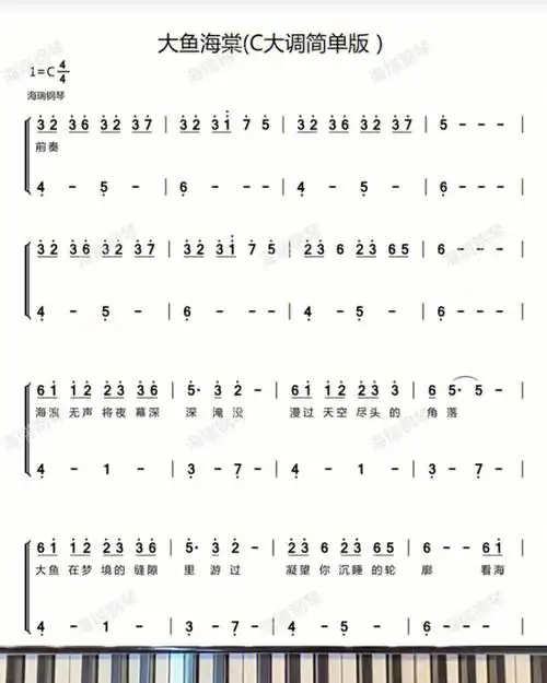 大鱼的钢琴谱
