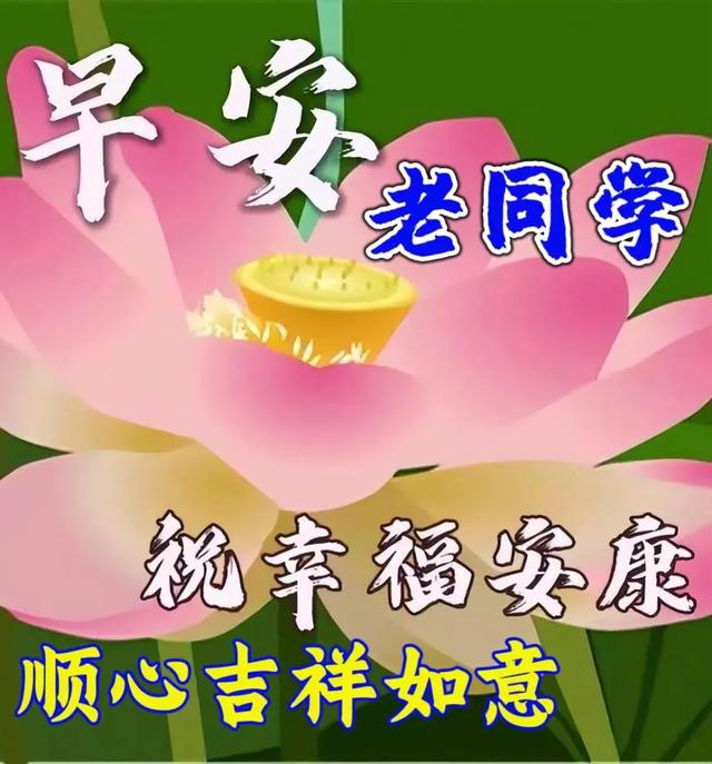 祝老同学幸福安康的早上好问候语,温馨甜蜜的早安心语唯美句子