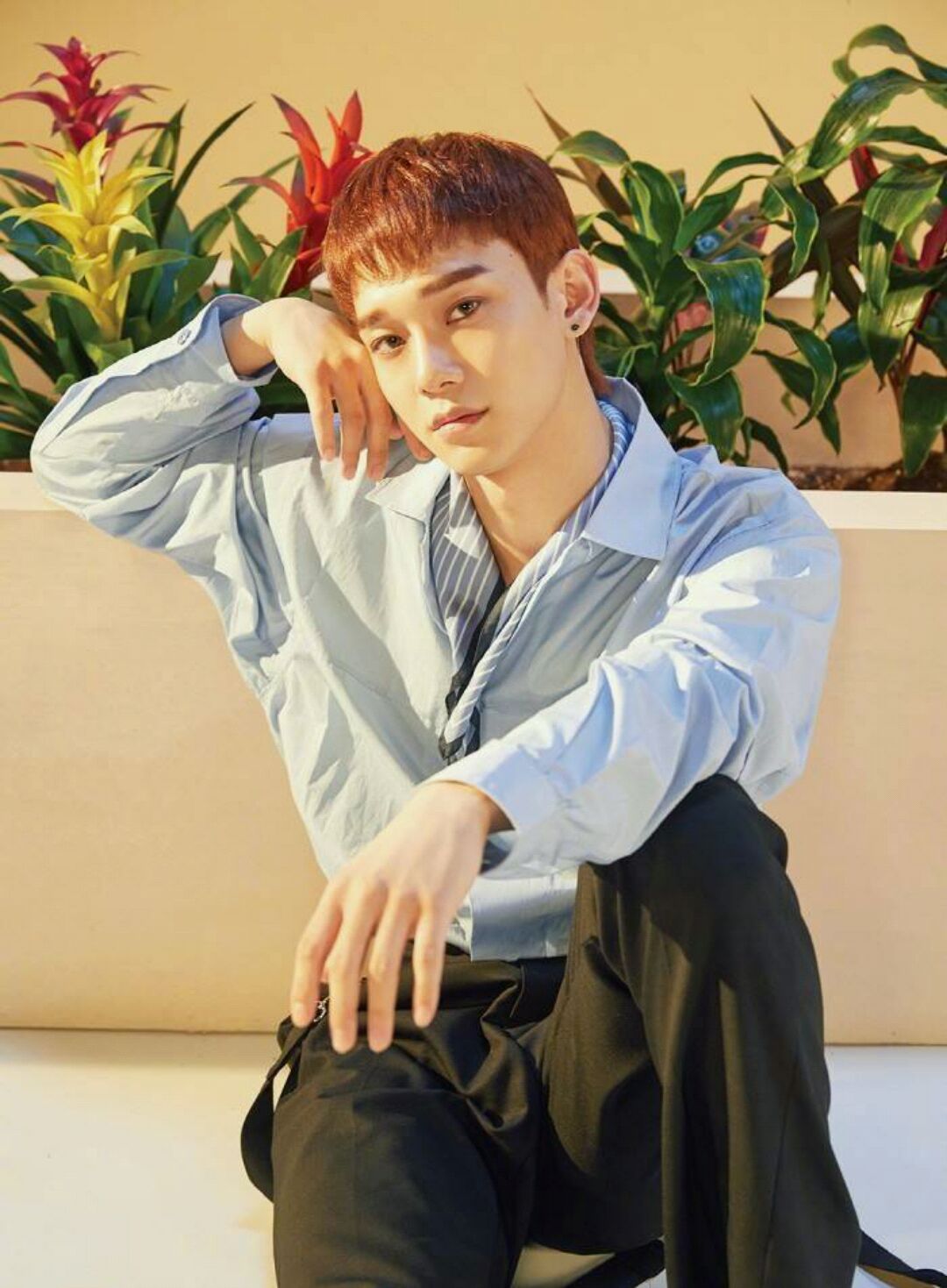 exo荣光主唱金钟大生日快乐‖你来时的九月,是少年惊鸿的一瞥