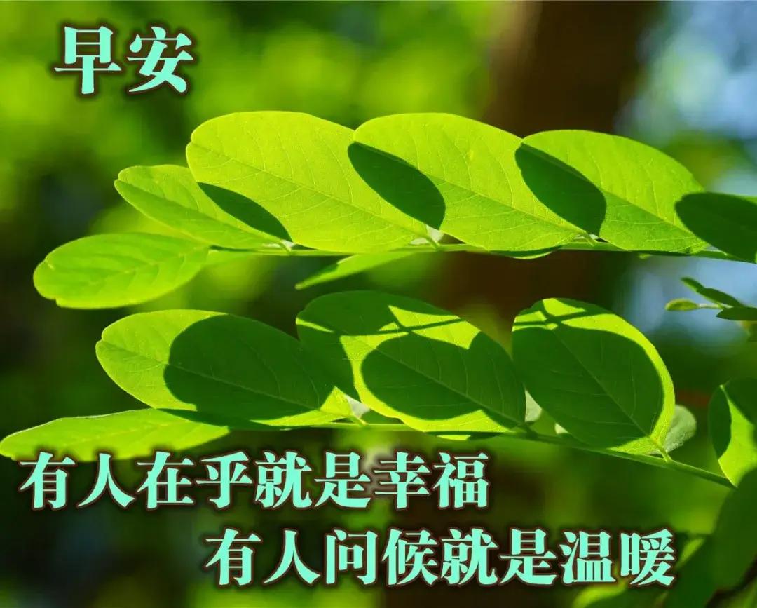 2020星期五清晨早安温馨问候语集锦早上好鲜花漂亮问候语图片