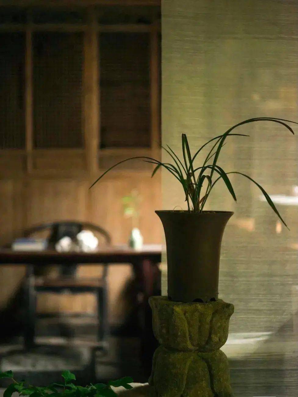 一处茶席,几张木椅,心无旁骛的生活格调,仅靠意境之美就让我们心旷神