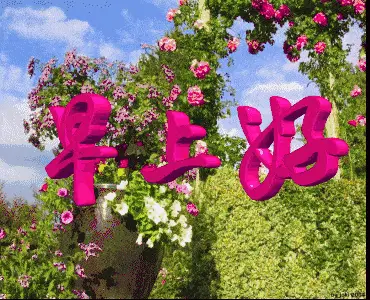 7月23日星期四大家早上好非常漂亮的鲜花早晨好阳光温暖问候早安表情