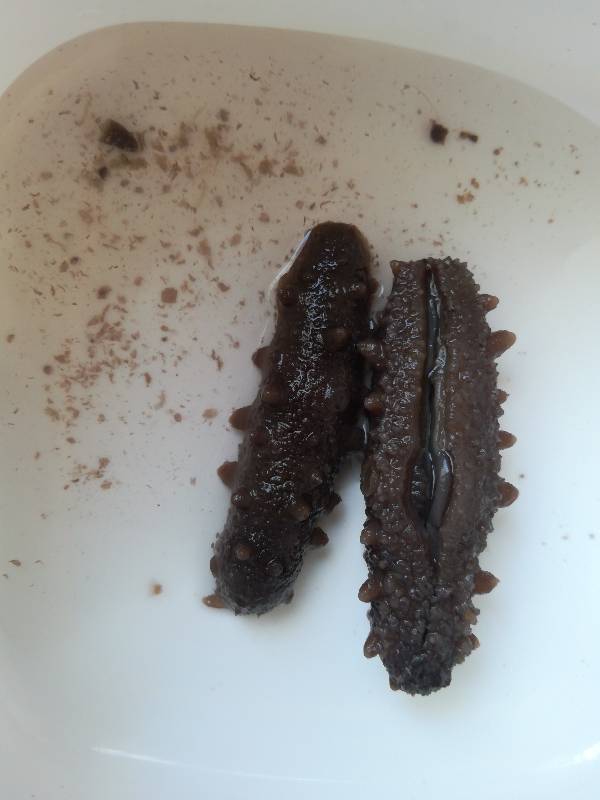 今天早上6:00泡的,海参放到水里冰化了就出现这种