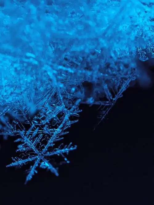 你是否近距离观察过雪花76