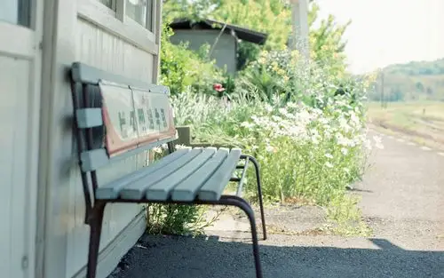 夏日清新的椅子唯美意境壁纸图片分享