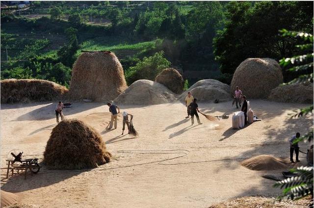 出生在农村,何悔之有.