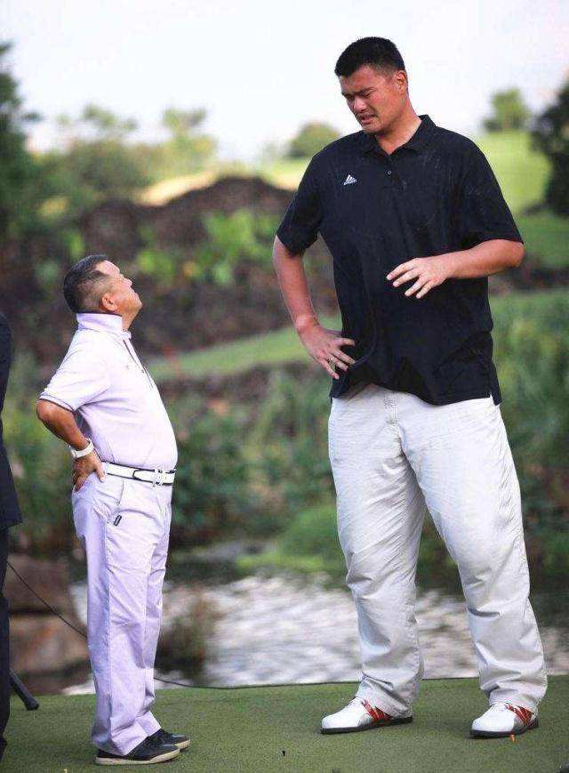 29米,大家可能对这身高也没什么概念,但是一看普通人和姚明合影,这