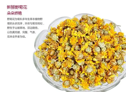 野菊花茶功效和食用方法
