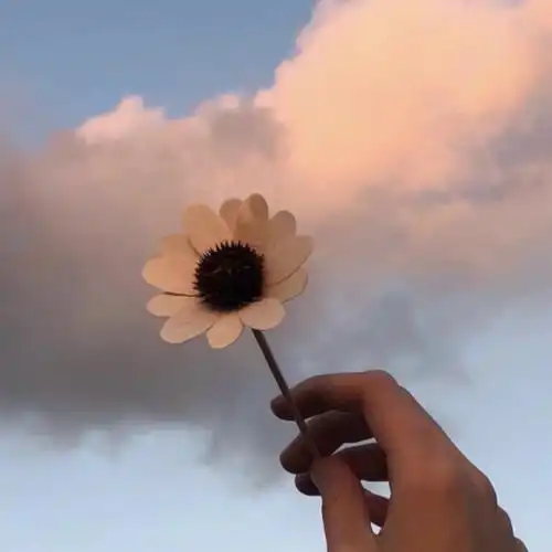 2023适合永久做头像的图片 高清简单干净好看让人舒服的头像_个性头像